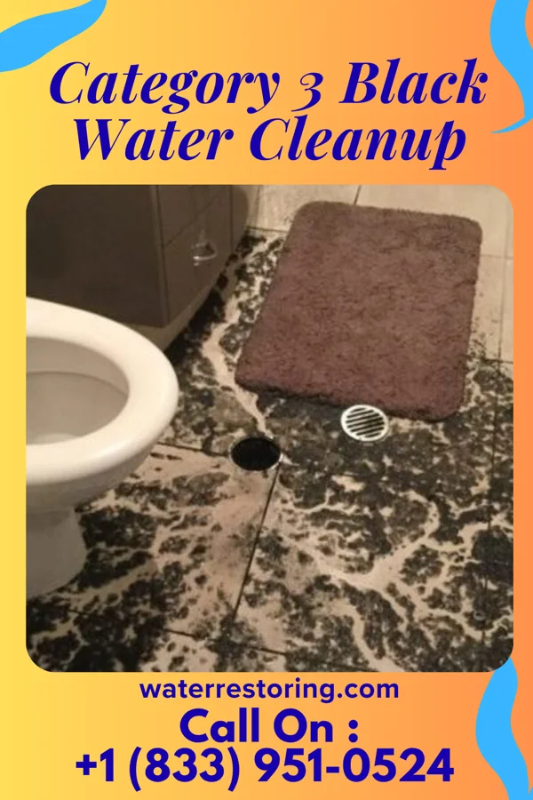 Category 3 Black Water Cleanup in Mentor, OH