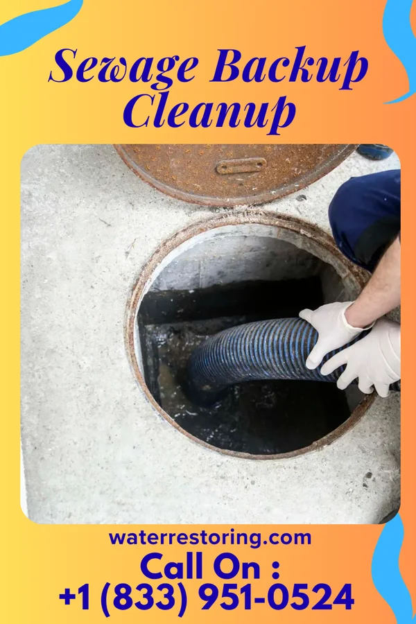 Sewage Backup Cleanup in Mentor, OH