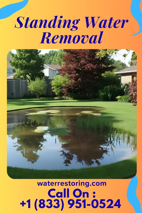 Standing Water Removal in Mentor, OH